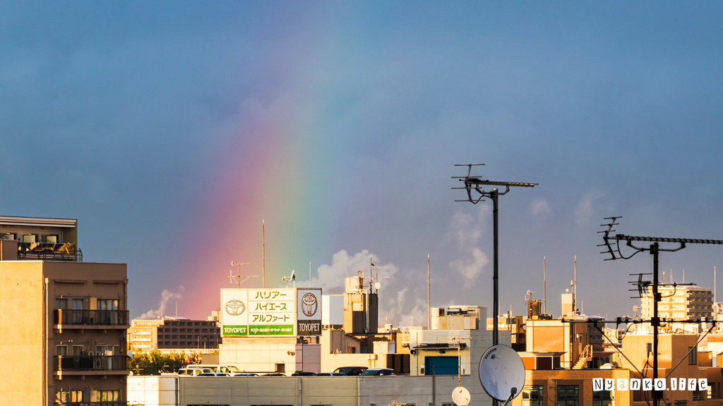 名古屋市内に掛かる虹
