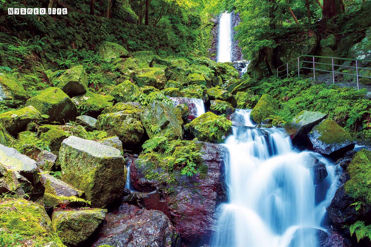 作品：みず：養老の滝 20200707