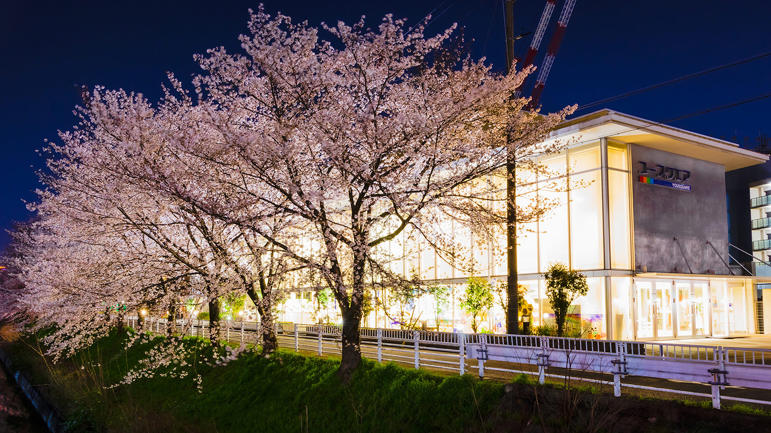 写真：ユースクエア外観_桜咲く夜景